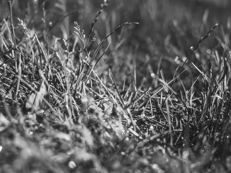 ZivralRylsynLumgra Santa Fe 1