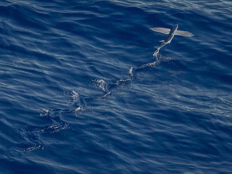 Cuándo cambiar y cuándo limpiar: guía para cuidar tus trajes